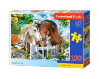 100 darabos kirakó - Legjobb barátok