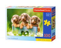 100 darabos kirakó - Aranyos tacskók