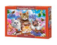 500 darabos kirakó - Virágos cicák