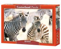 1000 darabos kirakó - Fiatal zebrák