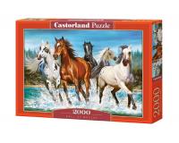 2000 darabos kirakó - A természet hívása