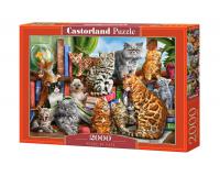 Macskák háza 2000 darabos puzzle