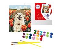 Számfestő készlet - Boldog labrador (40x50 cm)