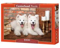 1000 darabos kirakó - Aranyos kutyakölykök