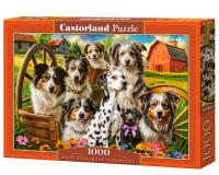 1000 darabos kirakó - Boldog kutyák vidéken