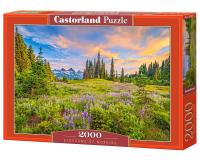 2000 darabos kirakó - Reggeli virágok