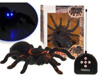 Távirányítós óirás tarantula pók