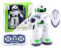 Távirányítós interaktív robot