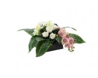 Rózsaszín orchidea és fehér rózsa csokor tálban - 50 x 30 cm