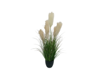 Műfű (pampafű) cserépben bézs színben -105 cm