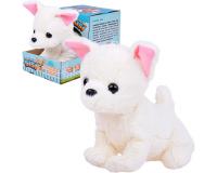 Sisi, a bájos, interaktív kutya