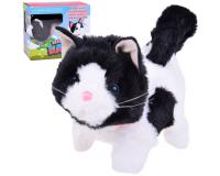 Patch, a bájos, interaktív cica