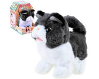 Interaktív fekete-fehér kiscica